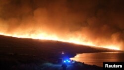Несколько провинций Турции охвачены лесными пожарами
